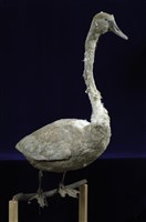 藏品(瘤鵠)的圖片